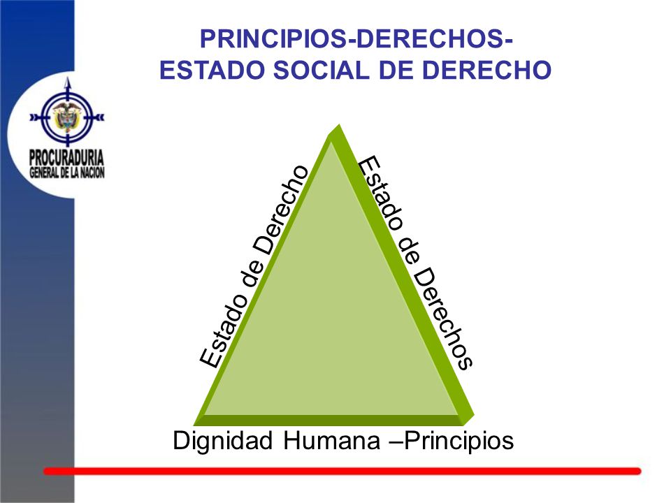 PRINCIPIOS-DERECHOS- ESTADO SOCIAL DE DERECHO