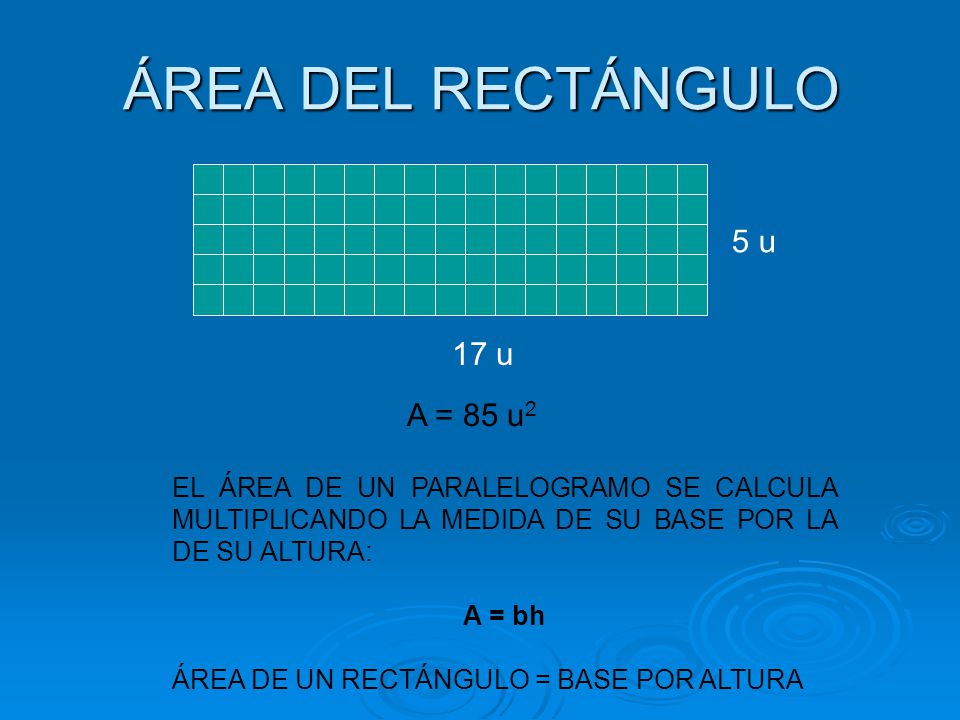 Resultado de imagen para area de un rectangulo para primaria