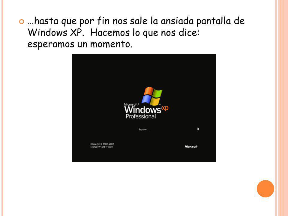 …hasta que por fin nos sale la ansiada pantalla de Windows XP