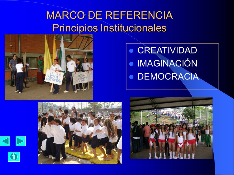 MARCO DE REFERENCIA Principios Institucionales