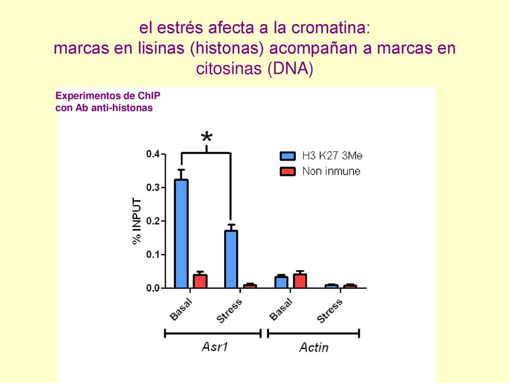 el estrés afecta a la cromatina: marcas en lisinas (histonas) acompañan a marcas en citosinas (DNA)