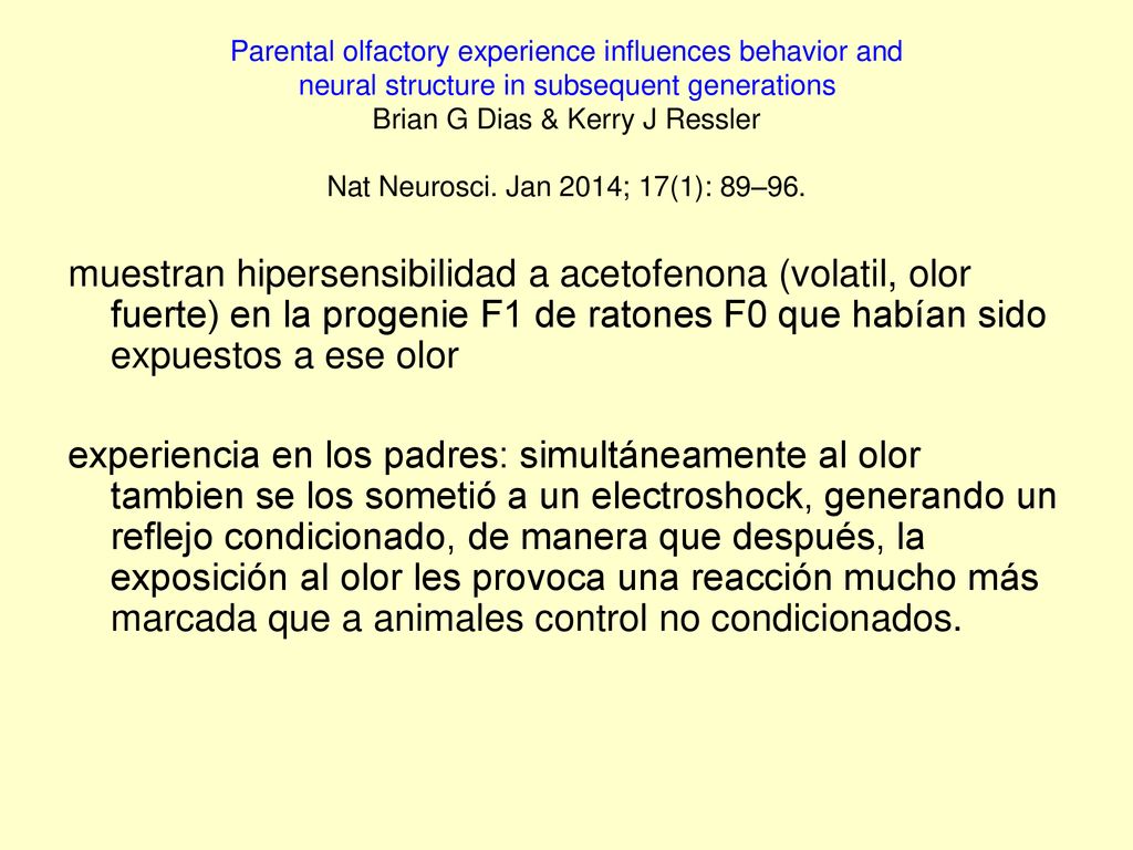 Parental olfactory experience influences behavior and neural structure in subsequent generations Brian G Dias & Kerry J Ressler Nat Neurosci. Jan 2014; 17(1): 89–96.