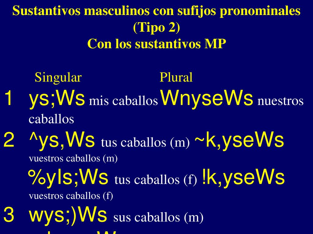 Sustantivos masculinos con sufijos pronominales (Tipo 2)