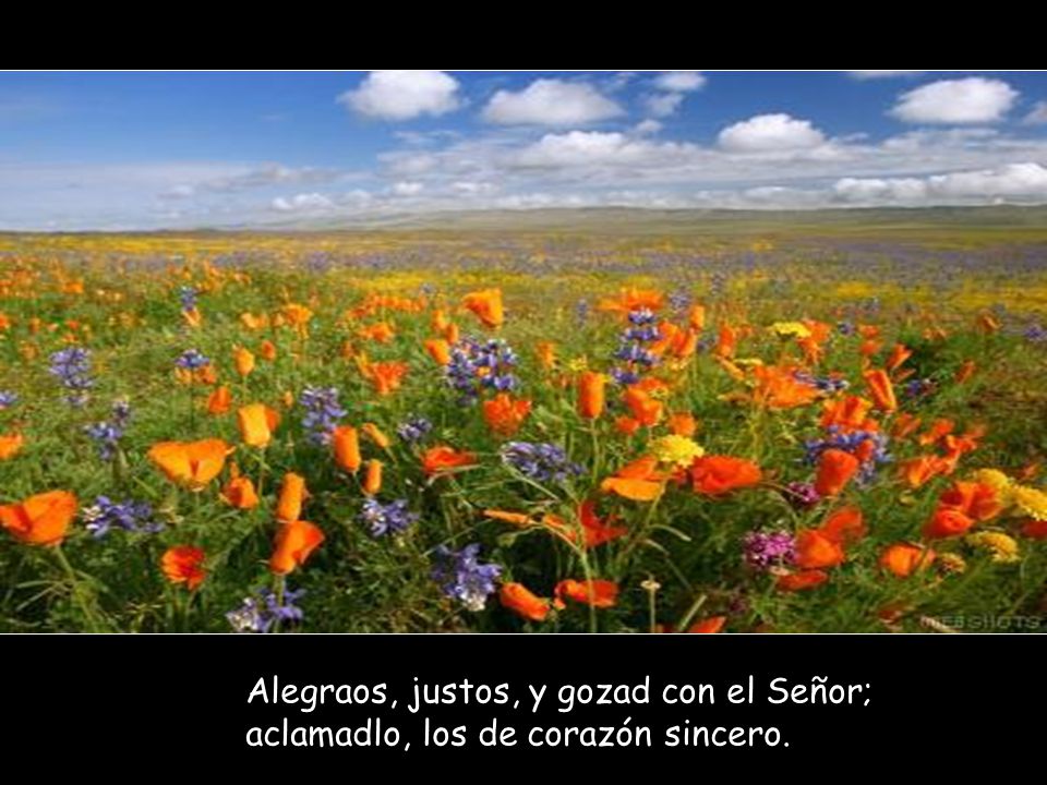 Alegraos, justos, y gozad con el Señor; aclamadlo, los de corazón sincero.