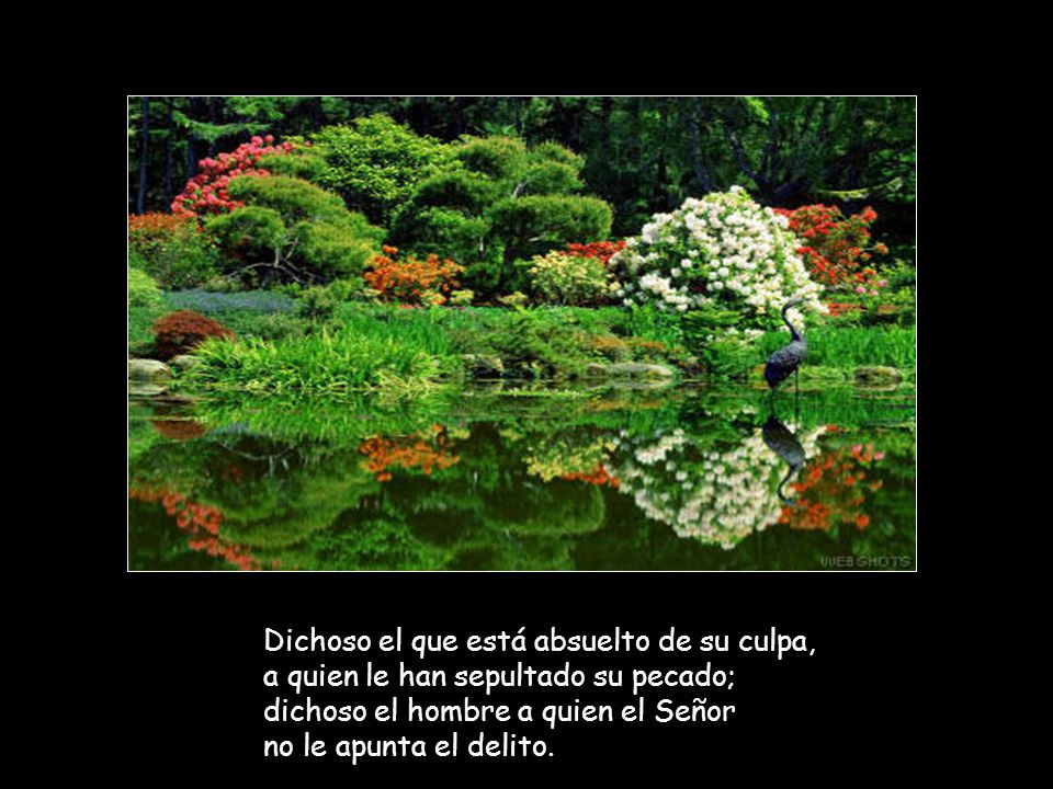 Dichoso el que está absuelto de su culpa, a quien le han sepultado su pecado; dichoso el hombre a quien el Señor no le apunta el delito.