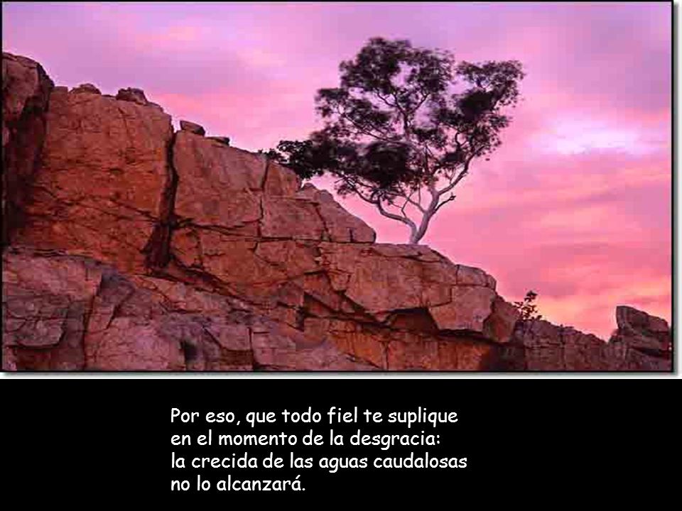 Por eso, que todo fiel te suplique en el momento de la desgracia: la crecida de las aguas caudalosas no lo alcanzará.