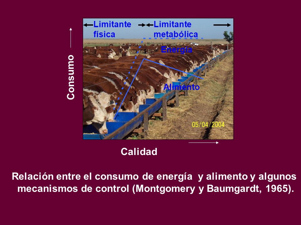 Relación entre el consumo de energía y alimento y algunos