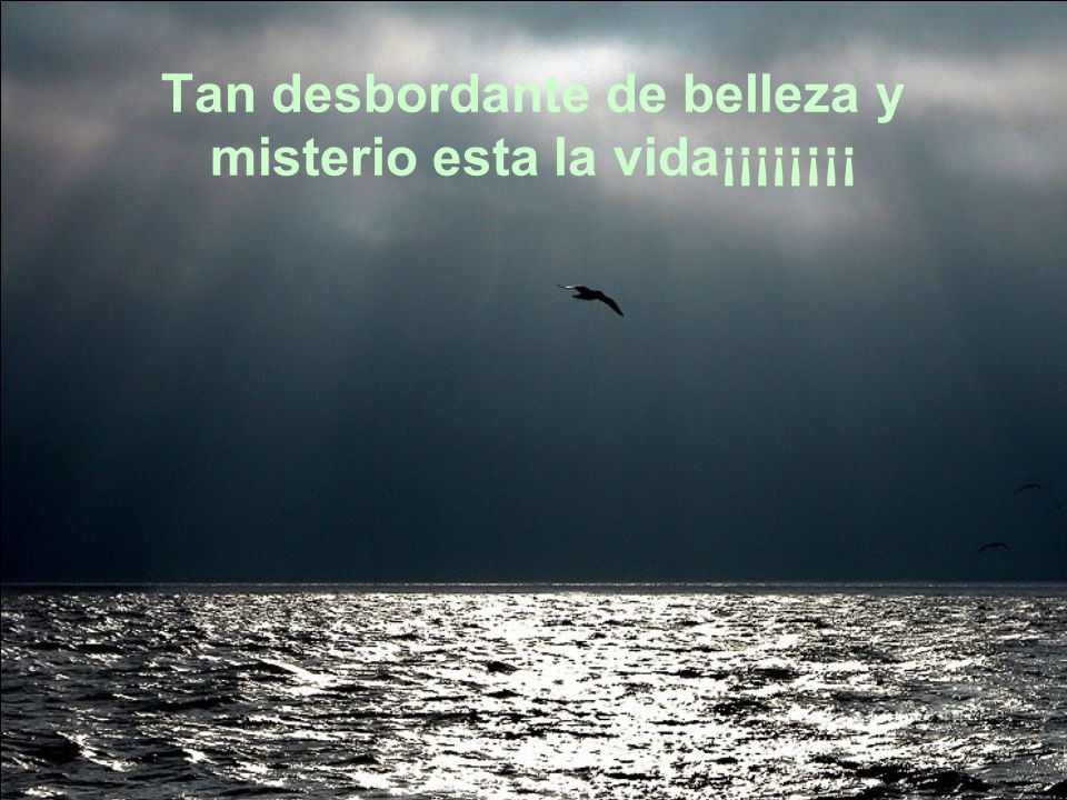 Tan desbordante de belleza y misterio esta la vida¡¡¡¡¡¡¡¡