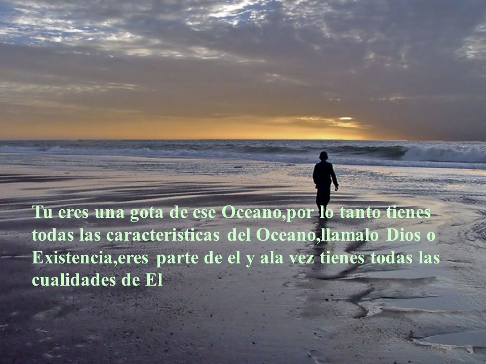 Tu eres una gota de ese Oceano,por lo tanto tienes todas las caracteristicas del Oceano,llamalo Dios o Existencia,eres parte de el y ala vez tienes todas las cualidades de El