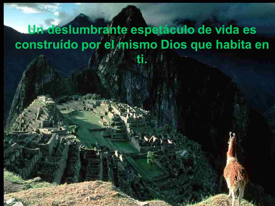 Un deslumbrante espetáculo de vida es construído por el mismo Dios que habita en ti.