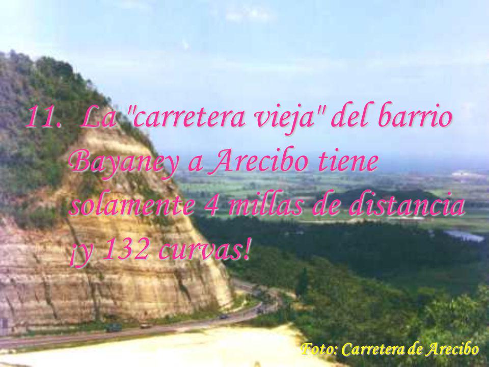 11. La carretera vieja del barrio Bayaney a Arecibo tiene solamente 4 millas de distancia ¡y 132 curvas!