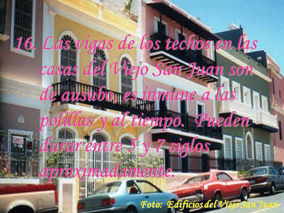 16. Las vigas de los techos en las casas del Viejo San Juan son de ausubo, es inmune a las polillas y al tiempo. Pueden durar entre 5 y 7 siglos aproximadamente.