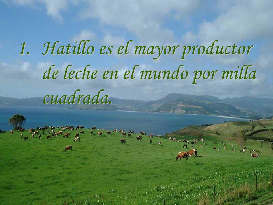 Hatillo es el mayor productor de leche en el mundo por milla cuadrada.