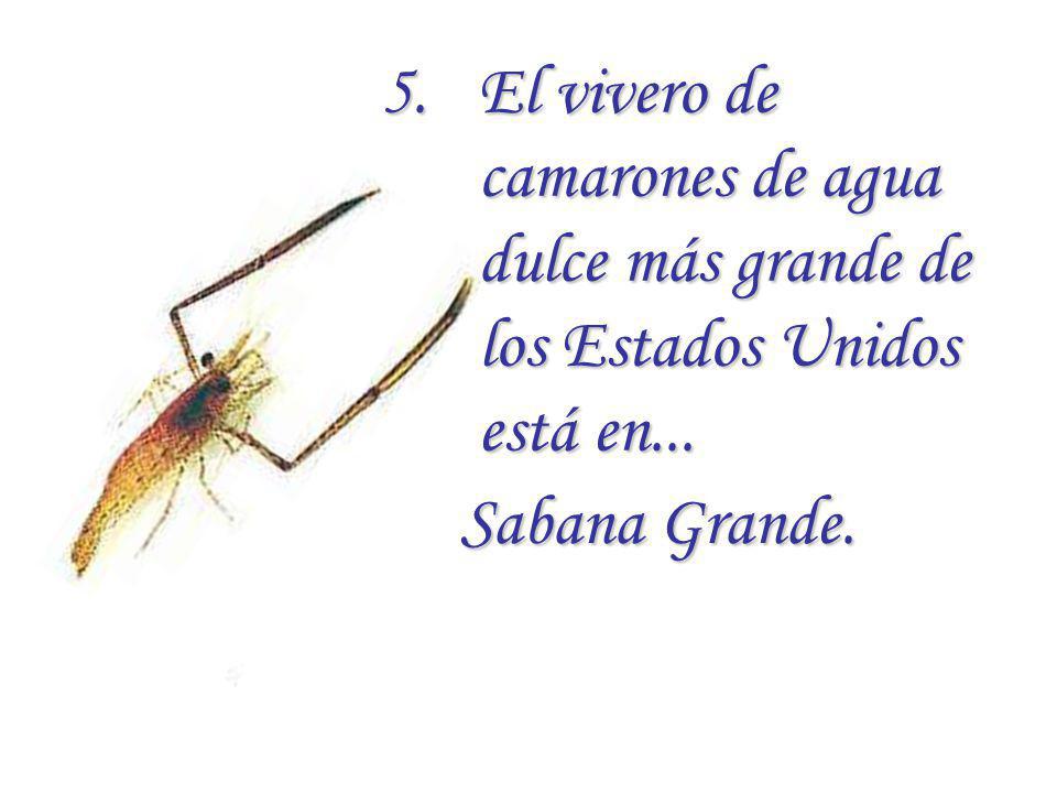El vivero de camarones de agua dulce más grande de los Estados Unidos está en...