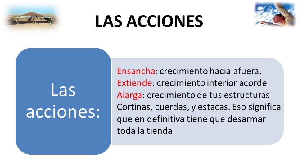 Las acciones: LAS ACCIONES Ensancha: crecimiento hacia afuera.