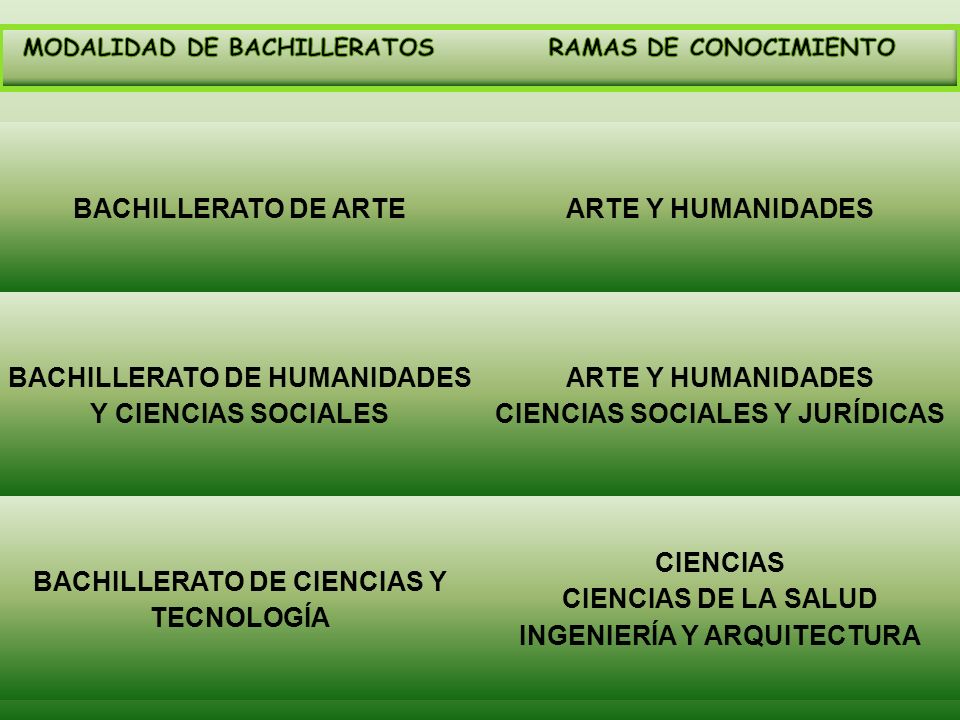 BACHILLERATO DE HUMANIDADES Y CIENCIAS SOCIALES