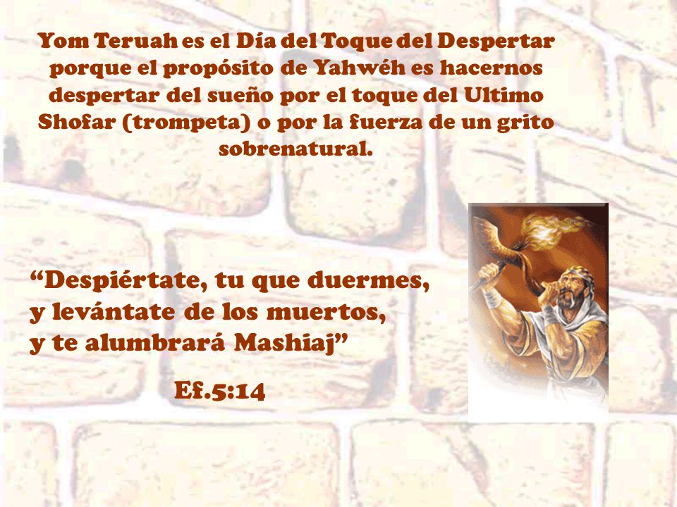 Yom Teruah es el Día del Toque del Despertar porque el propósito de Yahwéh es hacernos despertar del sueño por el toque del Ultimo Shofar (trompeta) o por la fuerza de un grito sobrenatural.