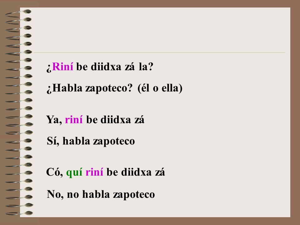 ¿Riní be diidxa zá la ¿Habla zapoteco (él o ella) Ya, riní be diidxa zá. Sí, habla zapoteco. Có, quí riní be diidxa zá.