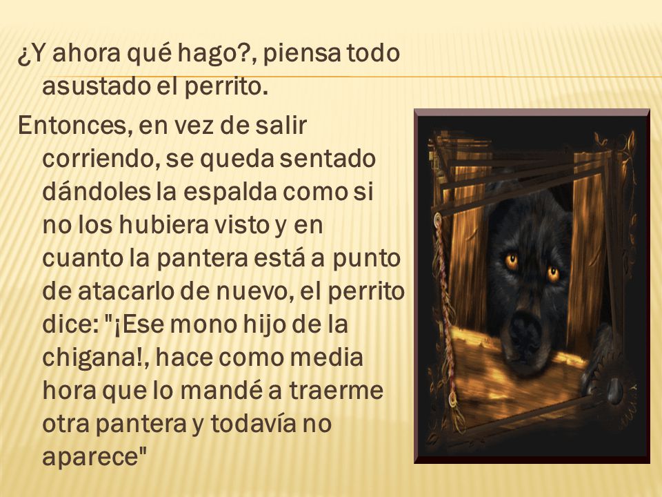 ¿Y ahora qué hago. , piensa todo asustado el perrito