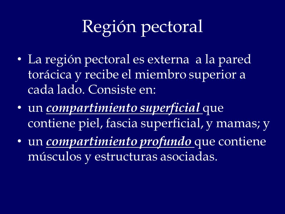 Región pectoral La región pectoral es externa a la pared torácica y recibe el miembro superior a cada lado. Consiste en: