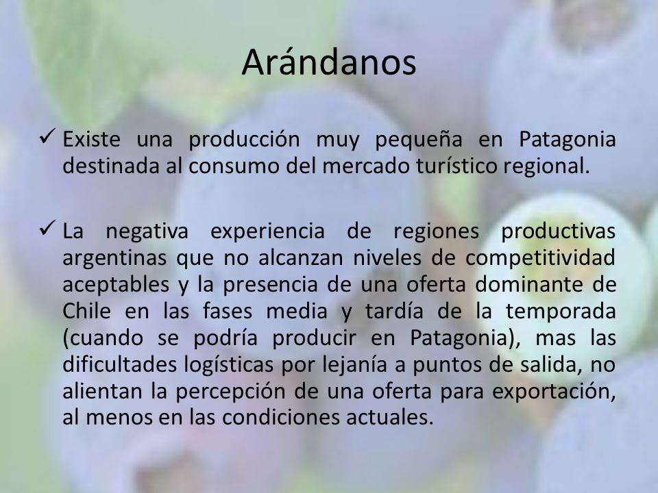 Arándanos Existe una producción muy pequeña en Patagonia destinada al consumo del mercado turístico regional.