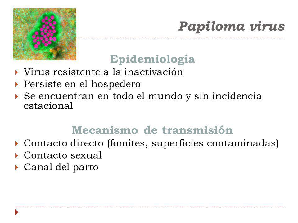 virus del papiloma resistente