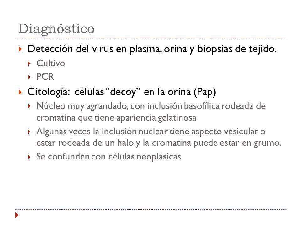 Diagnóstico Detección del virus en plasma, orina y biopsias de tejido.