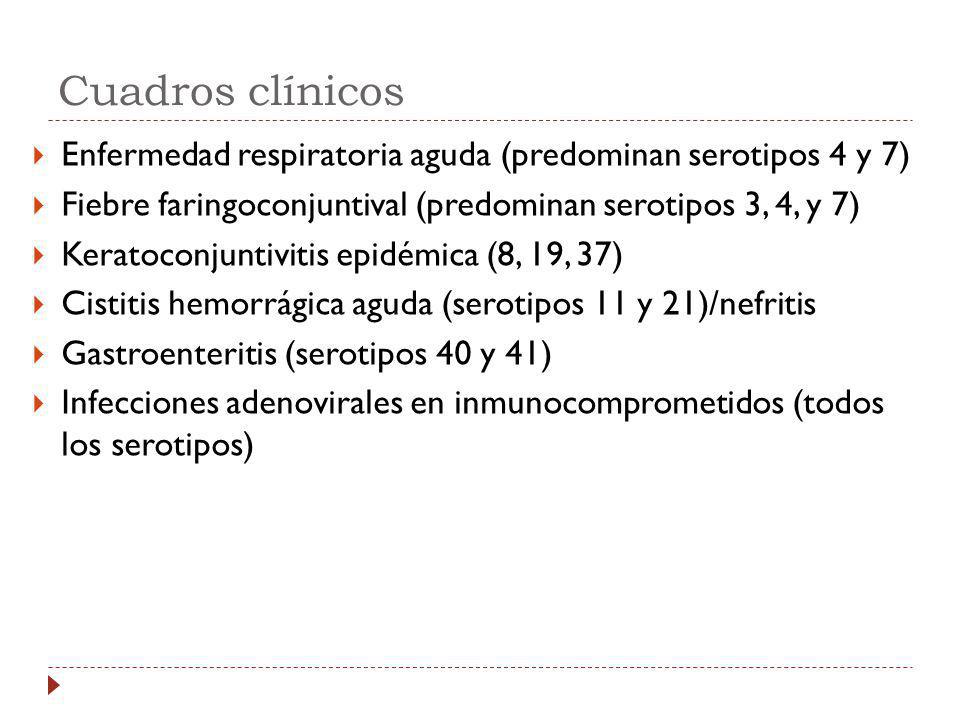 Cuadros clínicos Enfermedad respiratoria aguda (predominan serotipos 4 y 7) Fiebre faringoconjuntival (predominan serotipos 3, 4, y 7)