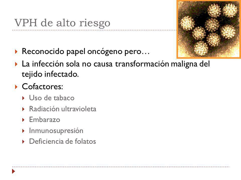 VPH de alto riesgo Reconocido papel oncógeno pero…