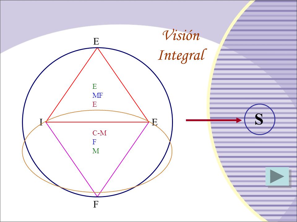 Visión Integral E E MF S I E C-M F M F