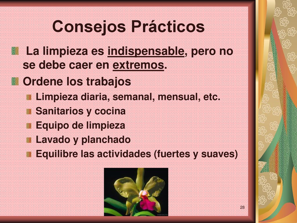 Consejos Prácticos La limpieza es indispensable, pero no se debe caer en extremos. Ordene los trabajos.