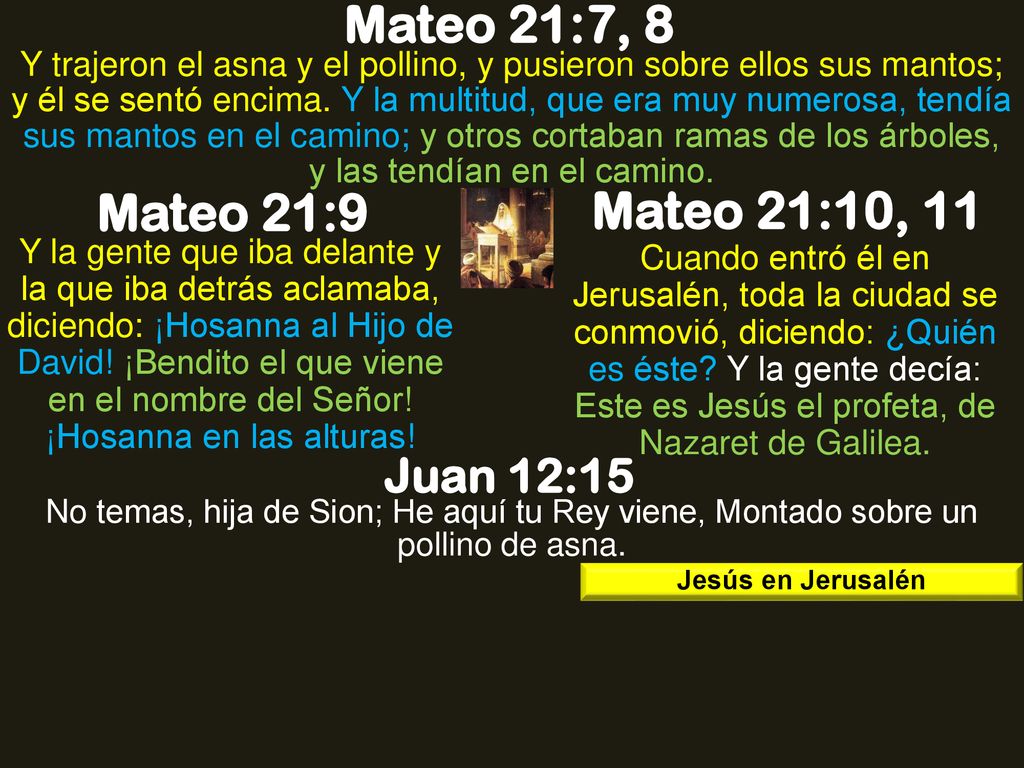 Mateo 21:7, 8 Mateo 21:9 Mateo 21:10, 11 Juan 12:15