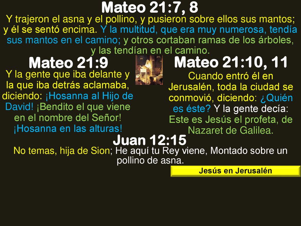 Mateo 21:7, 8 Mateo 21:9 Mateo 21:10, 11 Juan 12:15