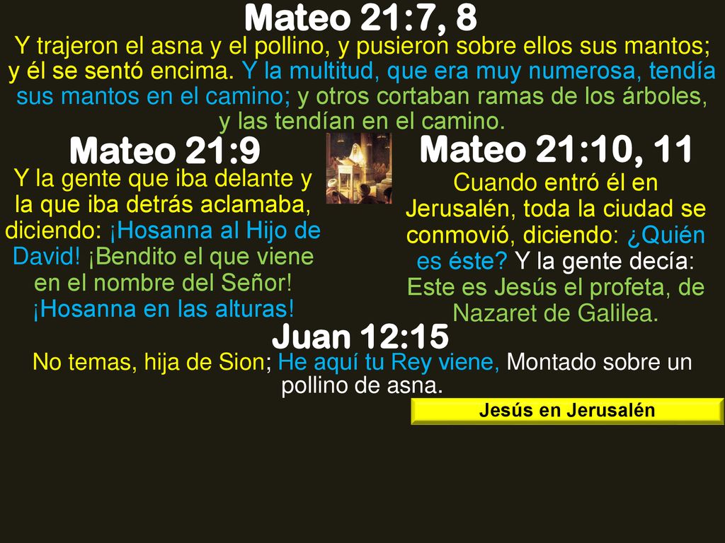 Mateo 21:7, 8 Mateo 21:9 Mateo 21:10, 11 Juan 12:15