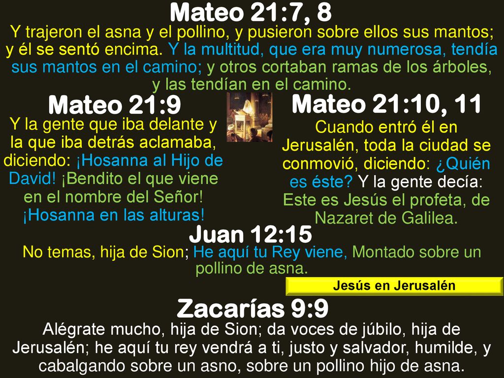 Mateo 21:7, 8 Mateo 21:9 Mateo 21:10, 11 Zacarías 9:9