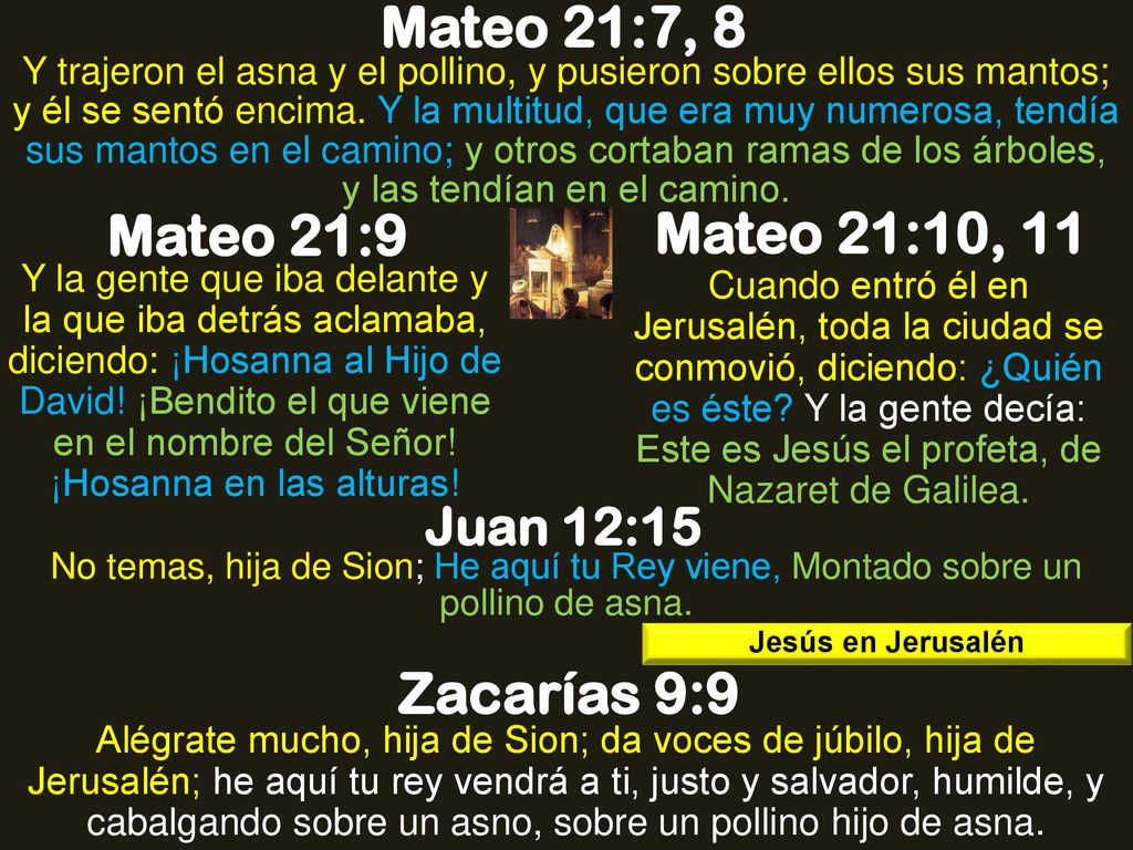 Mateo 21:7, 8 Mateo 21:9 Mateo 21:10, 11 Zacarías 9:9