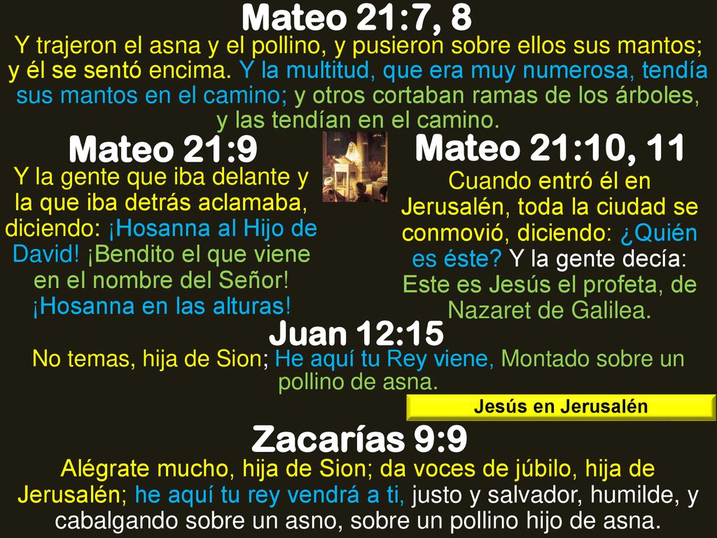 Mateo 21:7, 8 Mateo 21:9 Mateo 21:10, 11 Zacarías 9:9