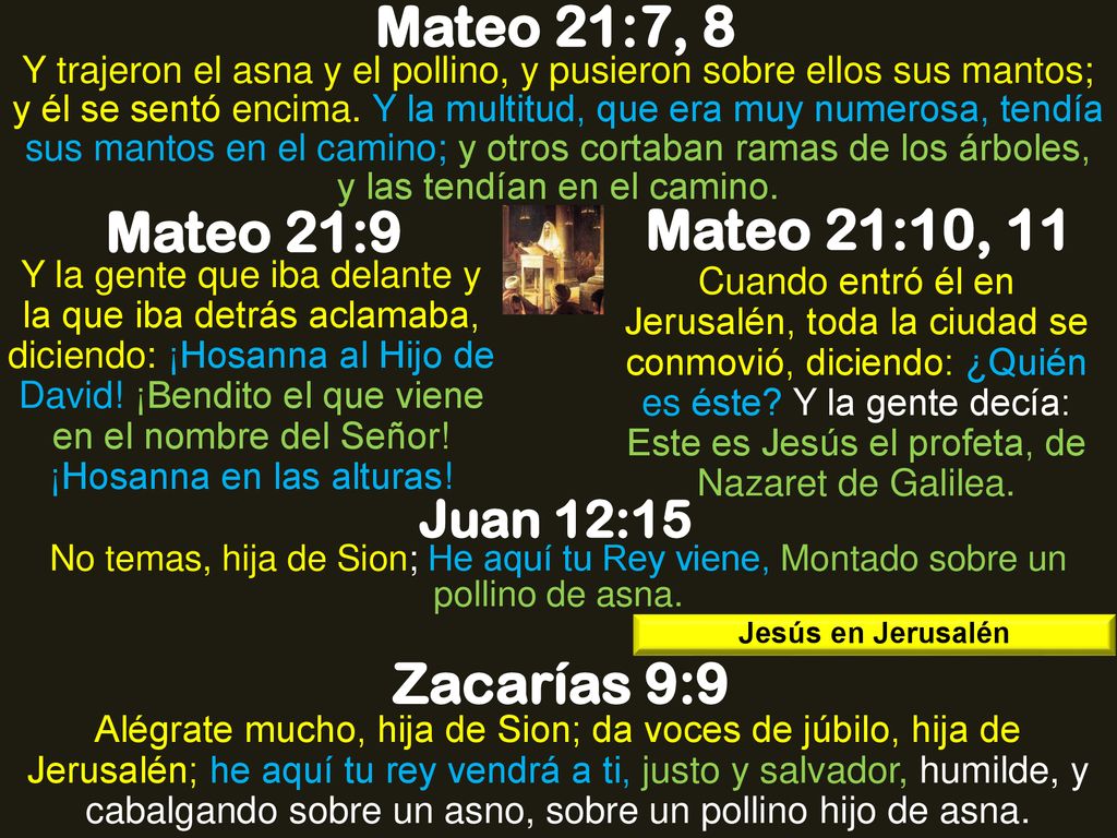 Mateo 21:7, 8 Mateo 21:9 Mateo 21:10, 11 Zacarías 9:9