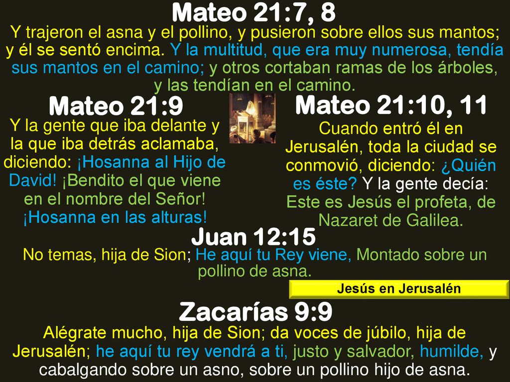 Mateo 21:7, 8 Mateo 21:9 Mateo 21:10, 11 Zacarías 9:9