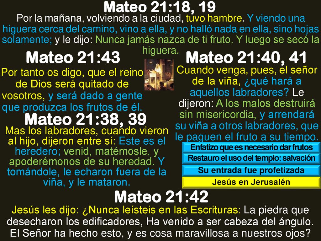 Mateo 21:43 Mateo 21:40, 41 Mateo 21:38, 39 Mateo 21:42