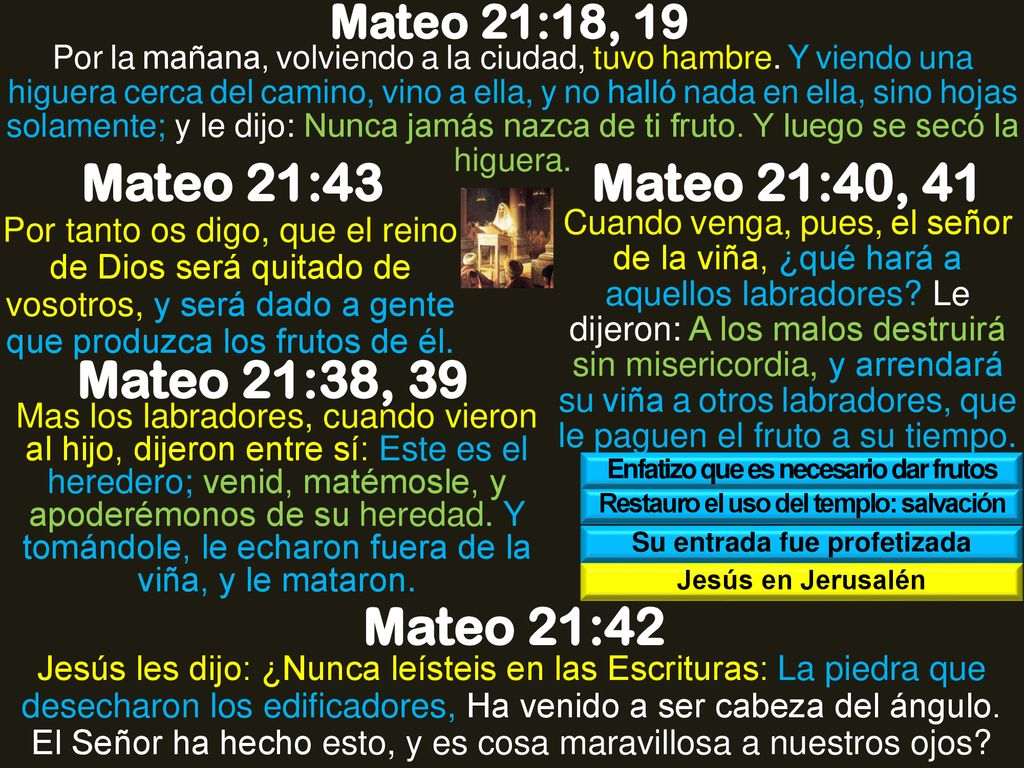 Mateo 21:43 Mateo 21:40, 41 Mateo 21:38, 39 Mateo 21:42