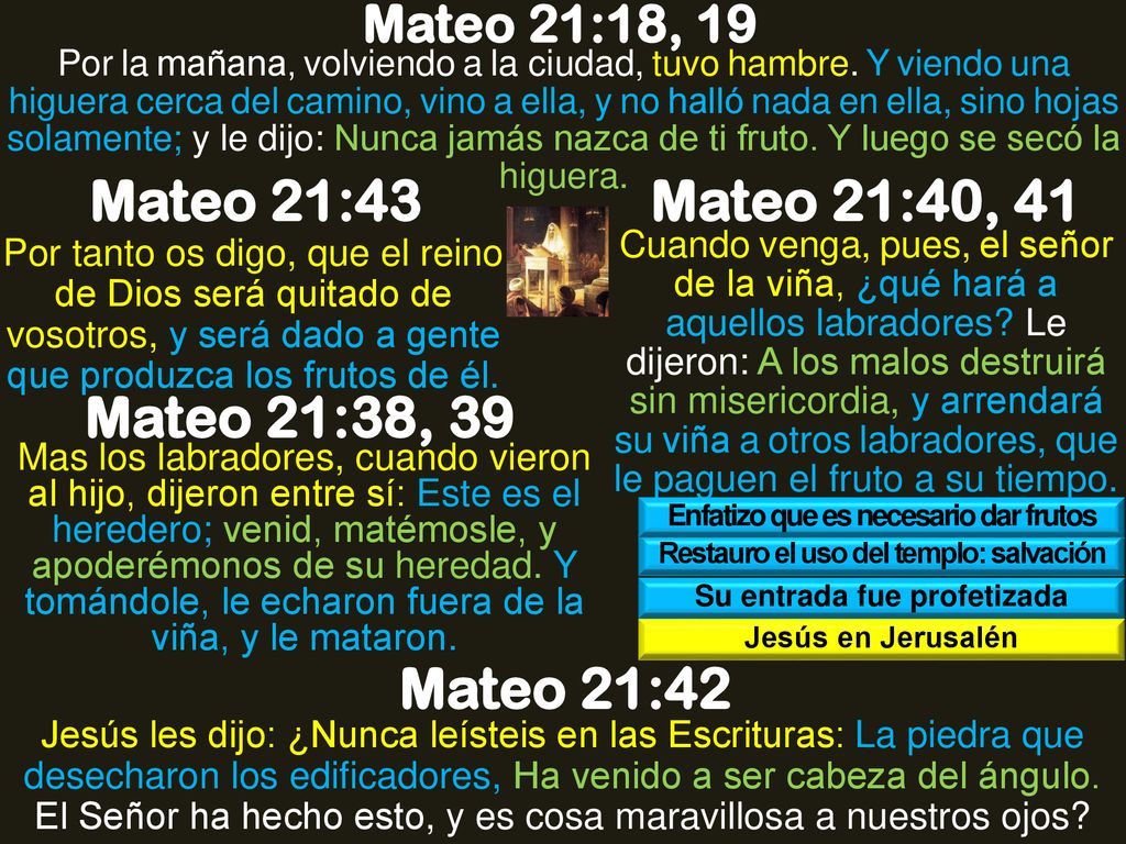 Mateo 21:43 Mateo 21:40, 41 Mateo 21:38, 39 Mateo 21:42