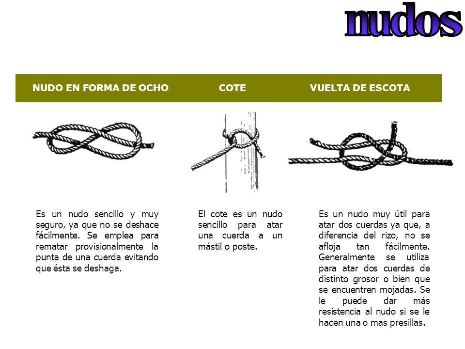 n u d o s NUDO EN FORMA DE OCHO COTE VUELTA DE ESCOTA