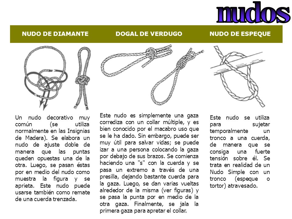 n u d o s NUDO DE DIAMANTE DOGAL DE VERDUGO NUDO DE ESPEQUE