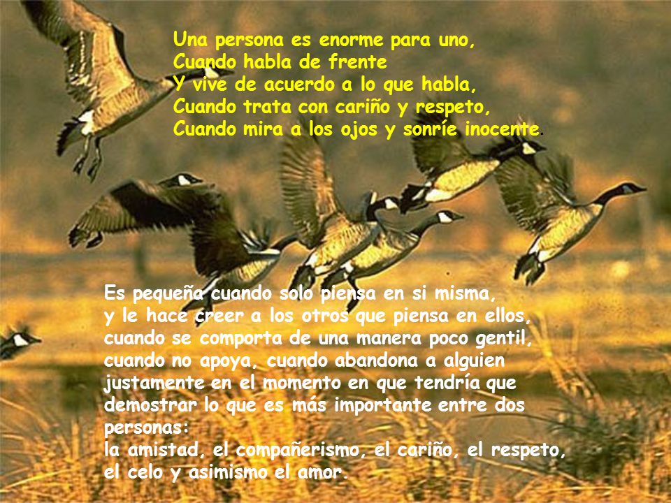 Una persona es enorme para uno, Cuando habla de frente