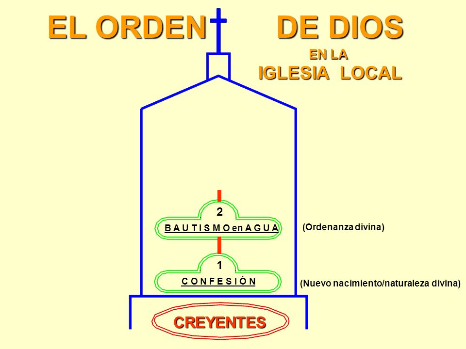 EL ORDEN DE DIOS IGLESIA LOCAL CREYENTES EN LA 2 1