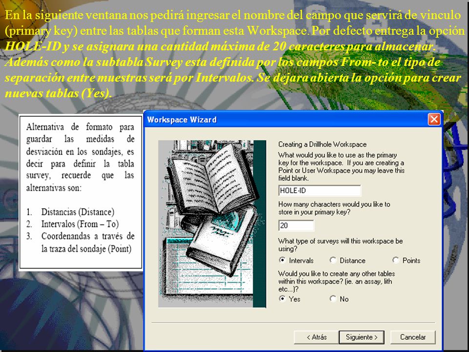En la siguiente ventana nos pedirá ingresar el nombre del campo que servirá de vinculo (primary key) entre las tablas que forman esta Workspace.