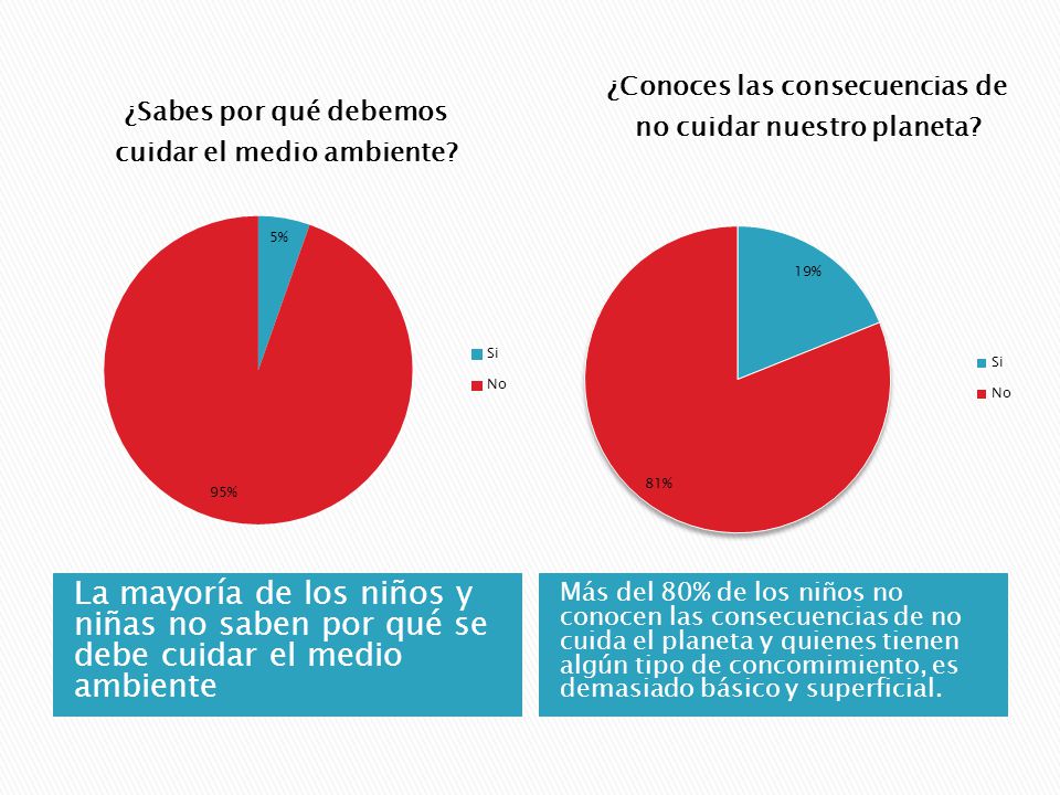 La mayoría de los niños y niñas no saben por qué se debe cuidar el medio ambiente