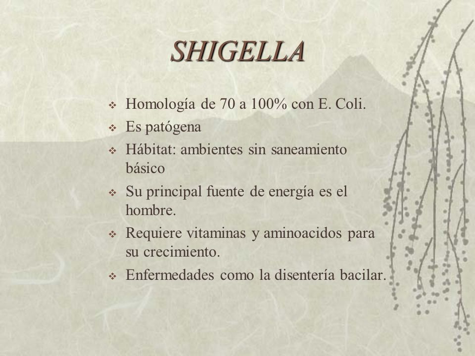 SHIGELLA Homología de 70 a 100% con E. Coli. Es patógena