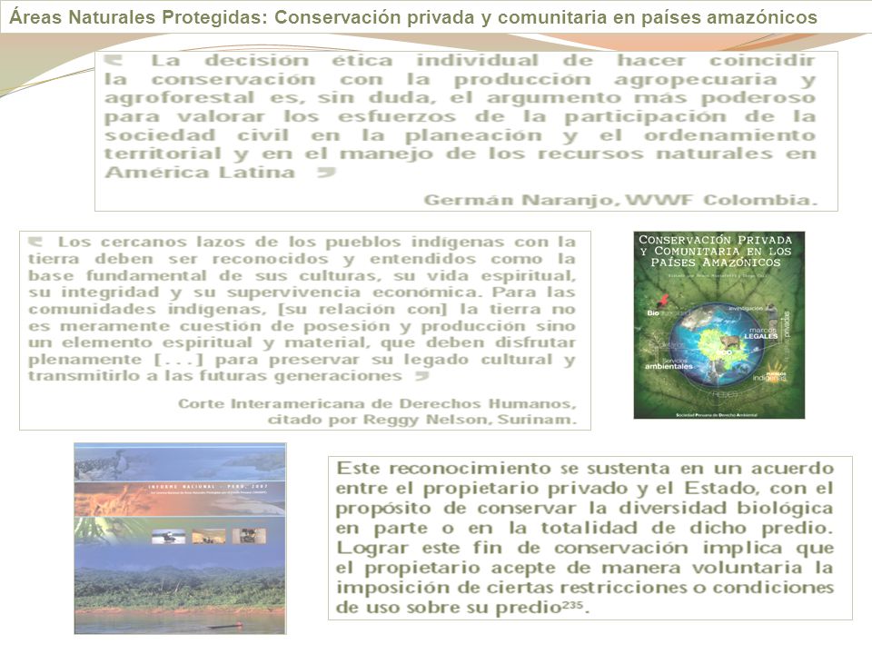 Áreas Naturales Protegidas: Conservación privada y comunitaria en países amazónicos